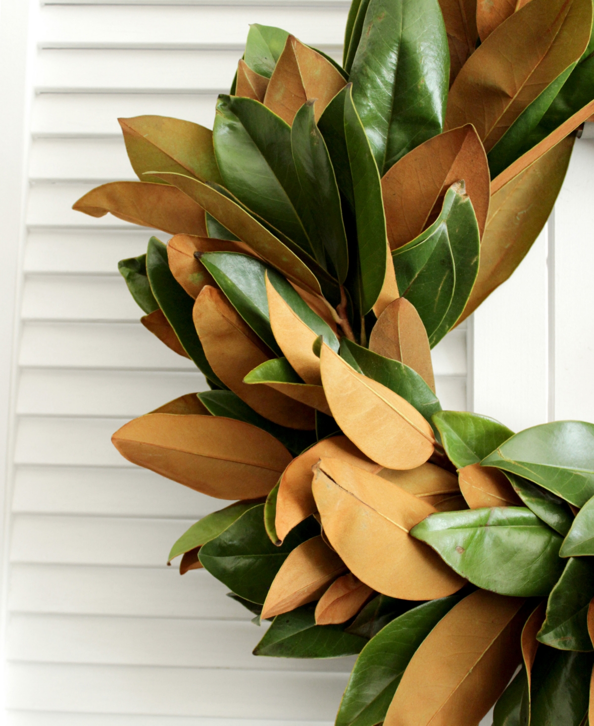 Magnolia Supply Co Fresh Magnolia Wreath, 20" In No Color