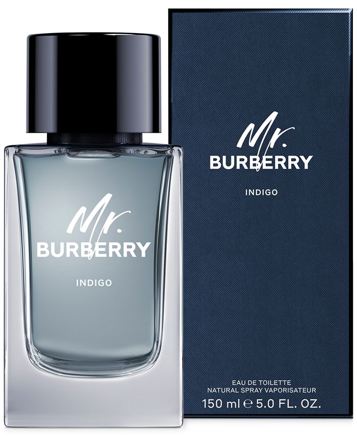 Mr. burberry indigo eau de toilette 100 ml outlet