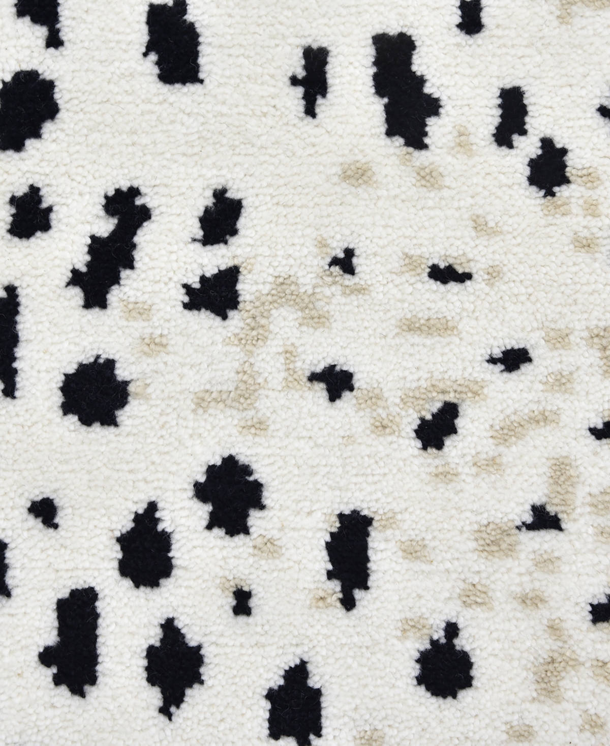 Timeless Rug Designs Louis S3253 8' x 10' Area Rug