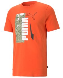 Men's Big & Tall Summer Vibe Tropical Logo Graphic T-Shirt