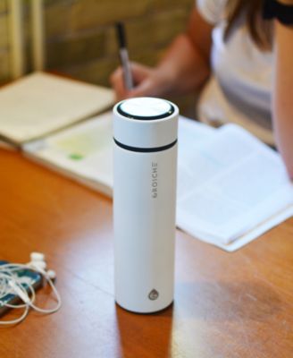 Chicago Insulated Tea Infuser Bottle, 15.2 fl oz Capacity with Long Tea Infuser