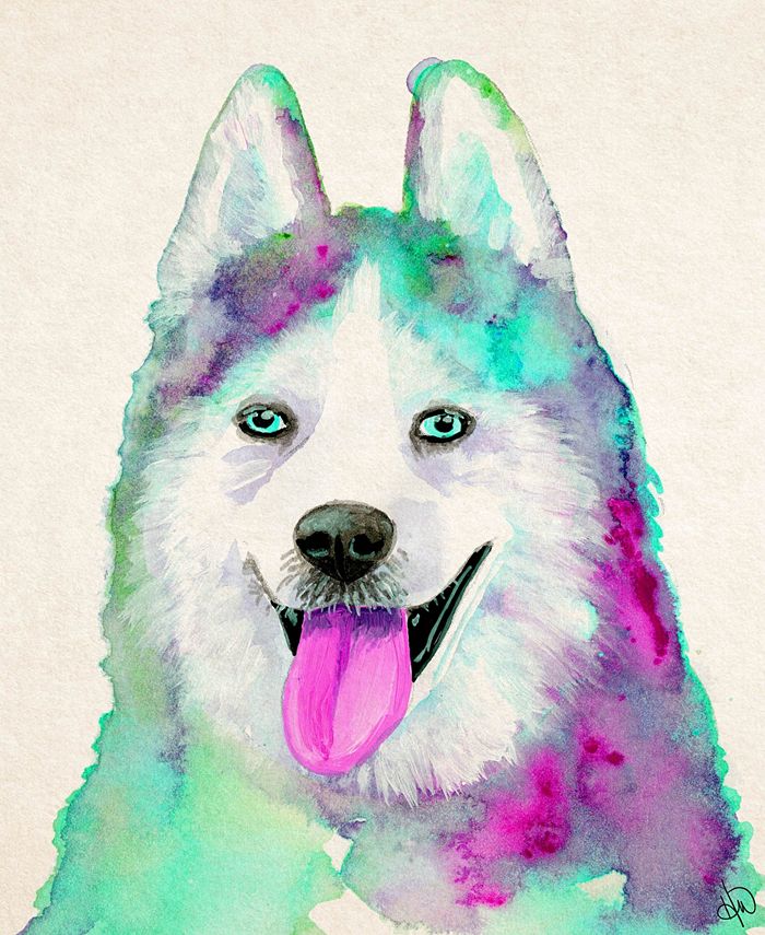 Creative Gallery - 