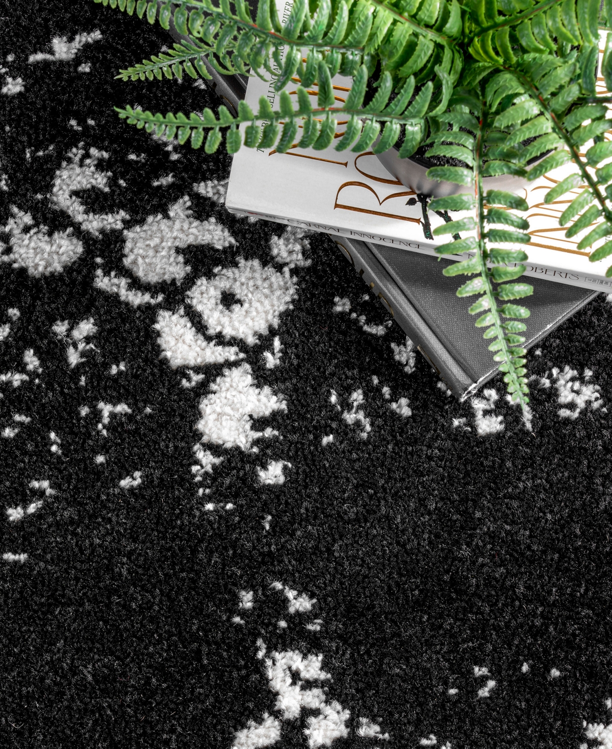 nuLoom Thomas Paul BDTP04A x Area Rug