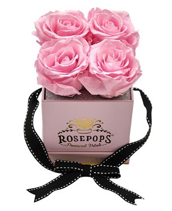Rosepops - 