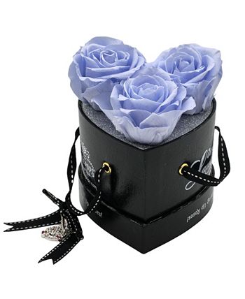 Rosepops - 