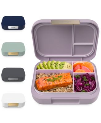 Modern Lunch Box