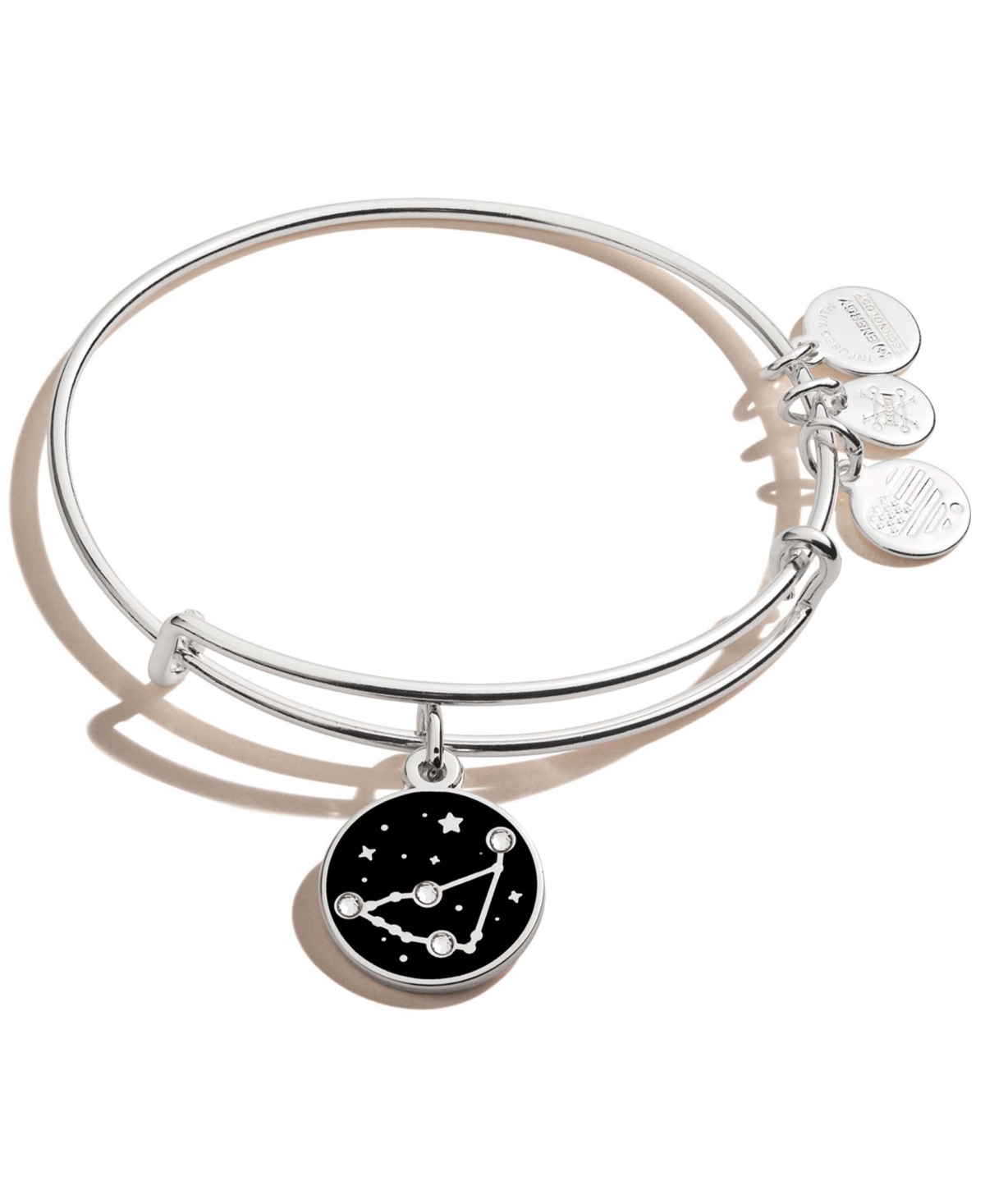 Alex and Ani Silver-Tone Zodiac Charm Bangle Bracelet