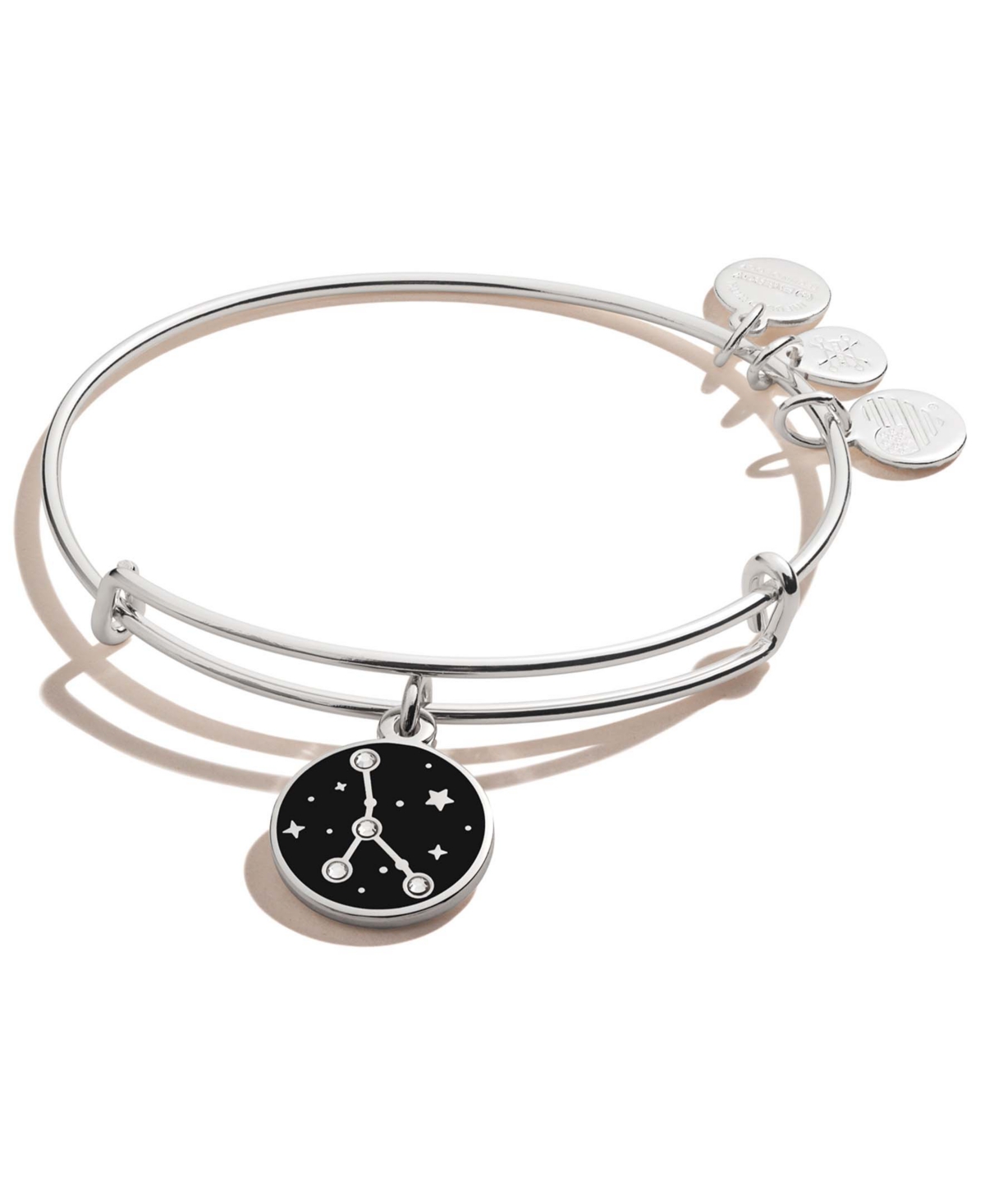 Alex and Ani Silver-Tone Zodiac Charm Bangle Bracelet