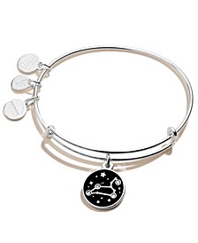 Silver-Tone Zodiac Charm Bangle Bracelet