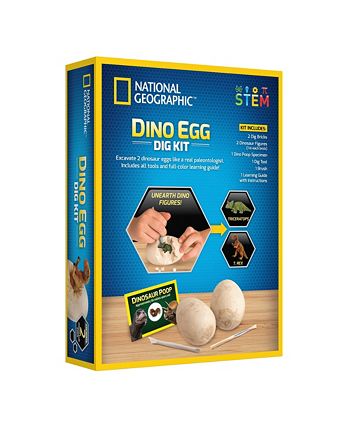 STEM Educarional Learning Toys for Kids GoldTech Products Dino Egg Dig Kit 