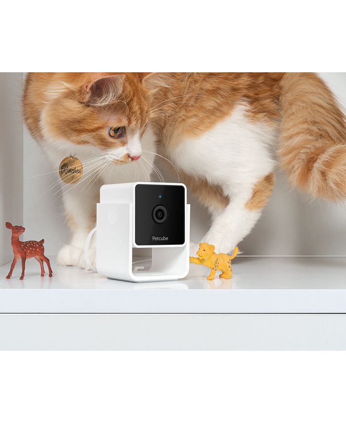 Petcube Smart HD Pet Camera Macy's