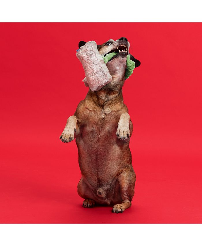 BarkBox CLOSEOUT! Throwbark Controller Dog Toy Macy's