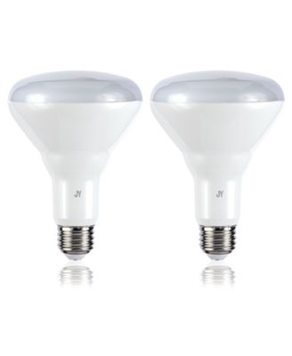 Smart BR30 Dimmable Light Bulb - Dimmable Color Changing LED, Set of 2
