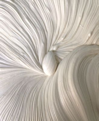 Ultra-Light Shea Moringa Moisturizer For Body, 2 oz.