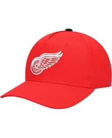 Youth Boys and Girls Red Detroit Red Wings Snapback Hat