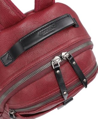 Sun-Wing Small Leather Backpack