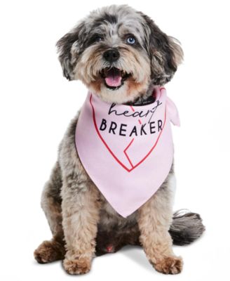 Collection XIIX - Heart Breaker Graphic Pet Bandana
