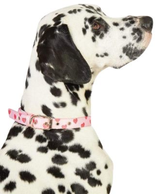Skinnydip London - Heart Printed Dog Collar