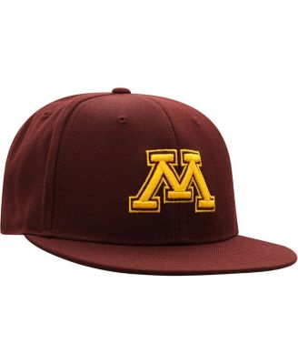 Men's Maroon Minnesota Golden Gophers Team Color Fitted Hat