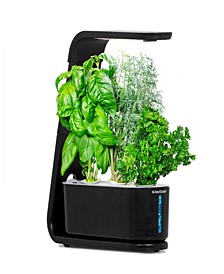 Sprout with Gourmet Herbs Seed Pod Kit - Hydroponic Indoor Garden, Black