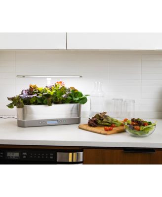 Macy's Aerogarden Harvest Elite Slim with Gourmet Herb Seed Pod Kit