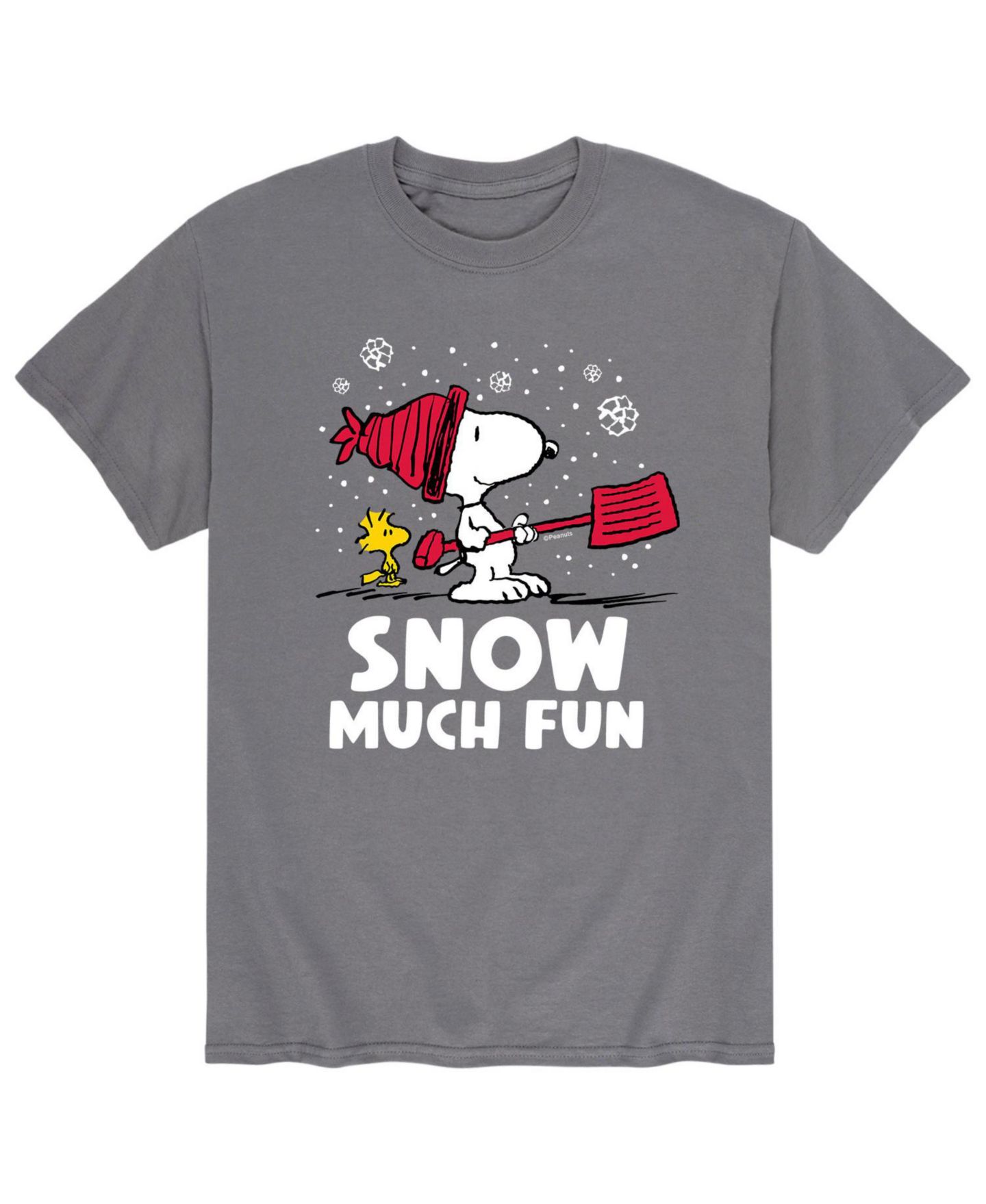 Мужская футболка AIRWAVES Peanuts Snow Much Fun, цвет: Серый — фото 1