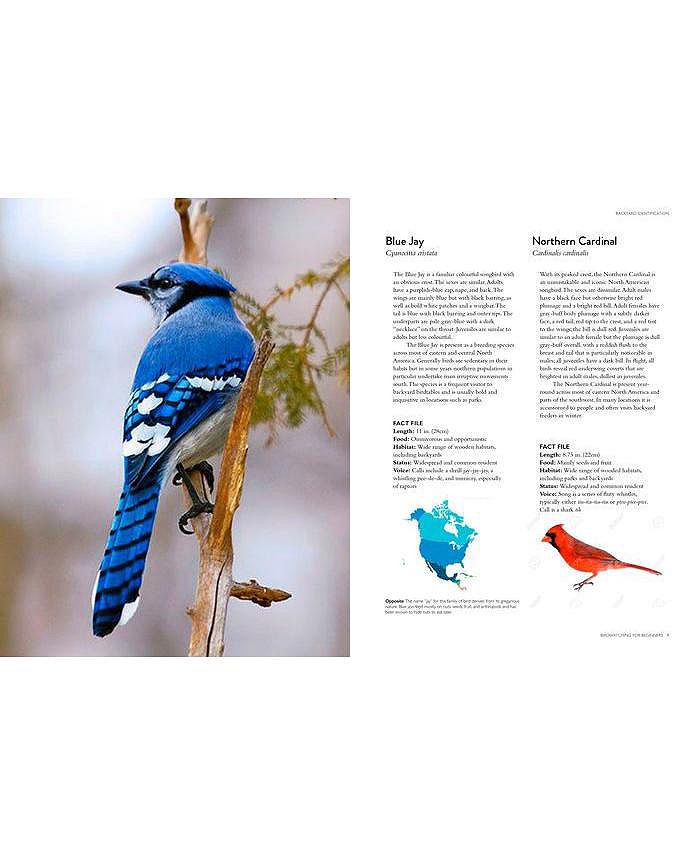 Barnes & Noble The Backyard Birdwatcher's Bible Birds, Behaviors