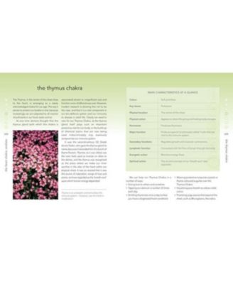 The Chakra Bible - The Definitive Guide to Working with Chakras by Patricia Mercier