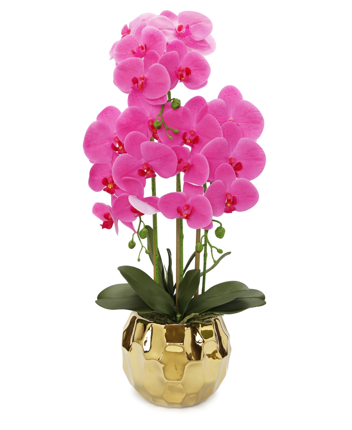 Orchid Plant in Round Hammered Vase - Gold-Tone