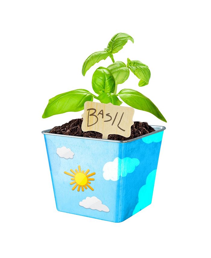 National Geographic Herb Garden Growing Kit Macy's