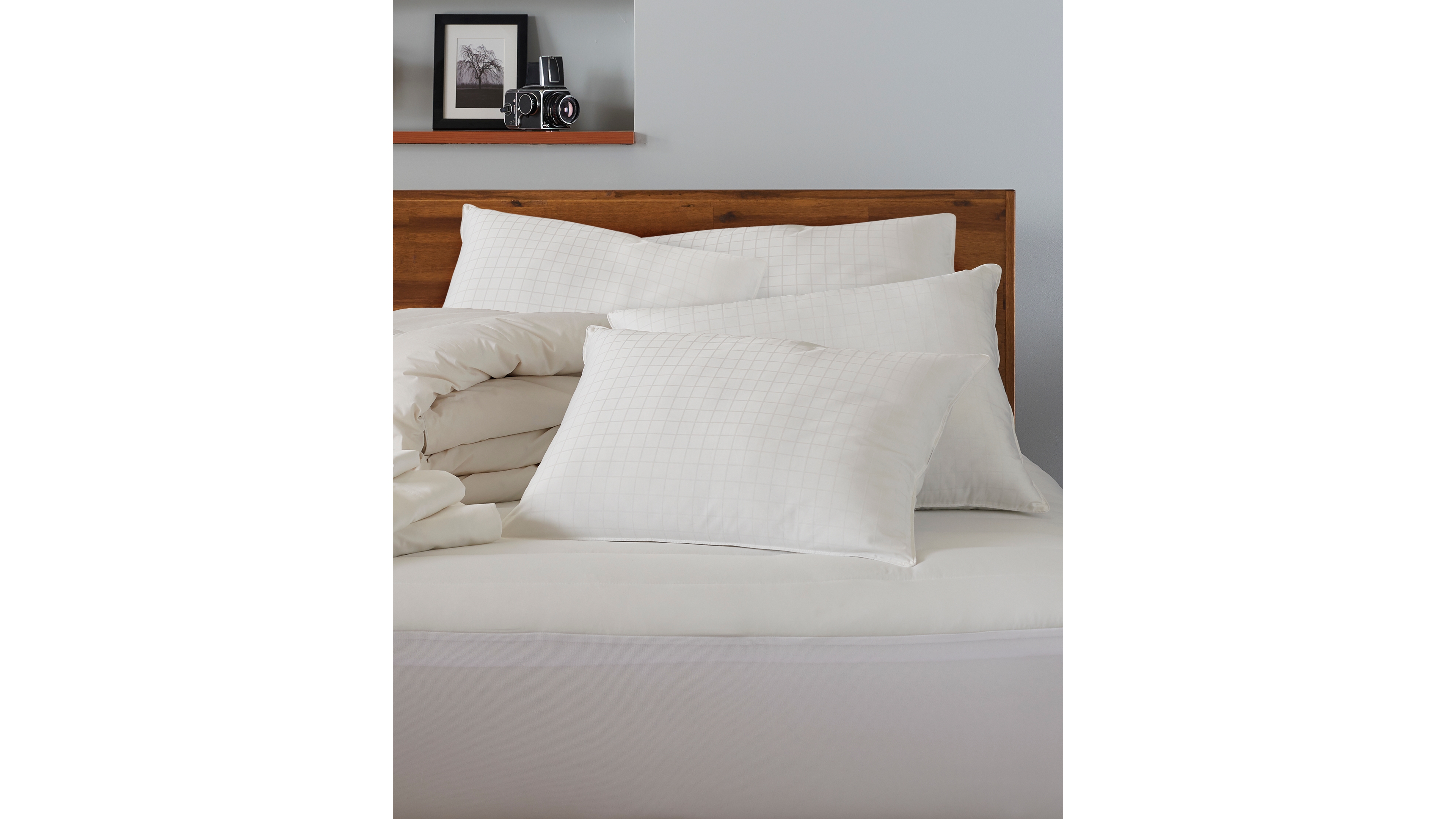 Ella Jayne 100% Cotton Dobby-Box Shell Firm Density Side/Back Sleeper Down Alternative 4-Pack Pillow, Standard