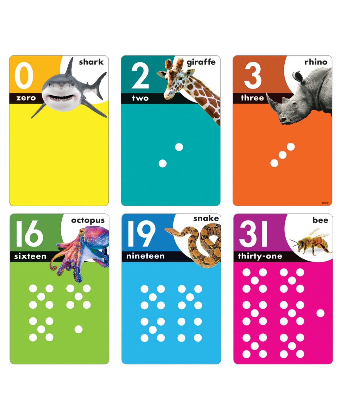 Shop Trend Enterprises Animals Count 0-31 Learning Set, 32 Pieces In Multi