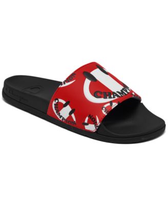 finish line champion slides