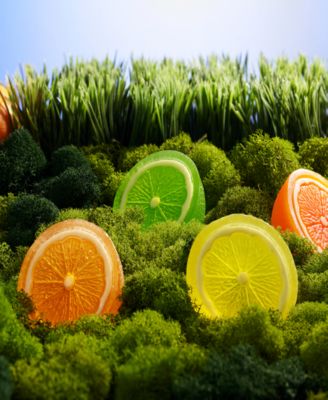 Bath and Body Care Gift Set, Home Spa Kit in Lemon, Orange, Grapefruit Lime Scents, Relaxing Stress Relief Gift, 19 Piece