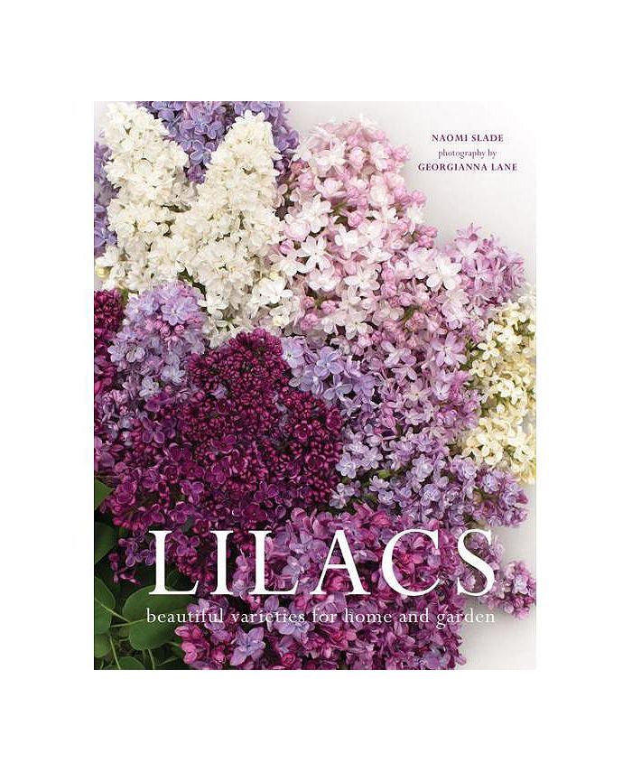 Barnes & Noble - 