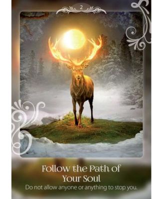 Soul Helper Oracle: Messages from Your Higher Self by Christine Arana Fader