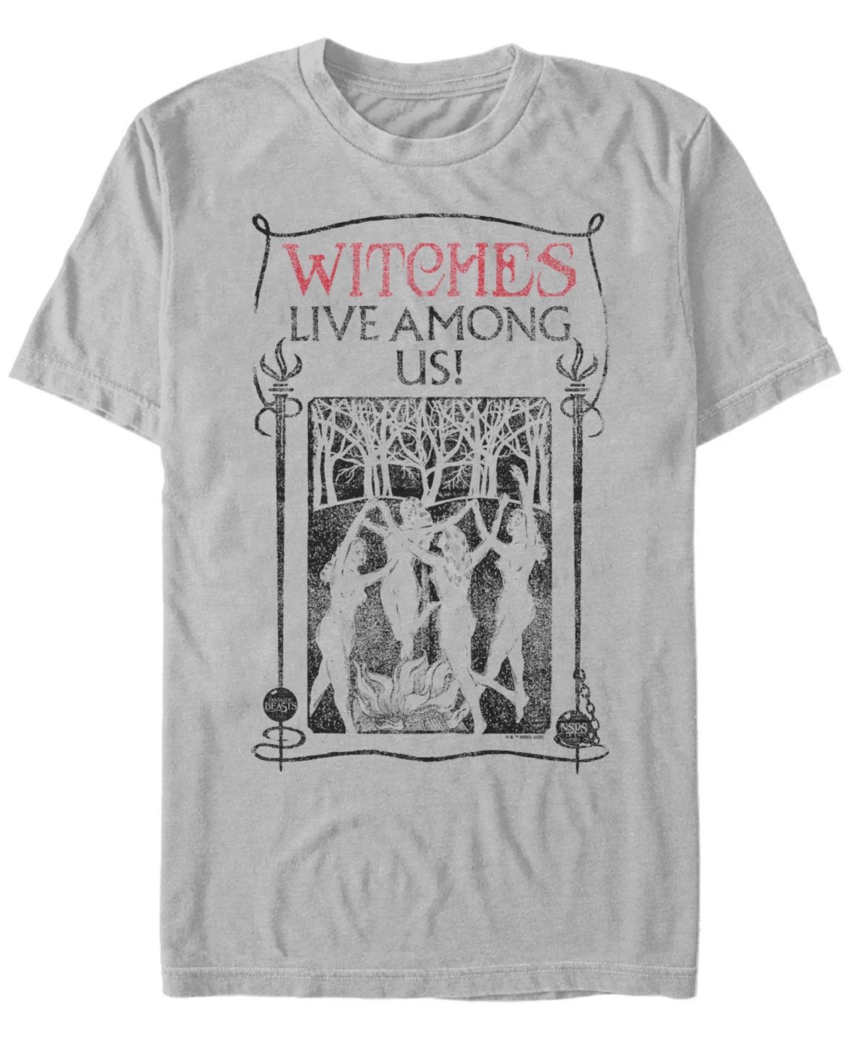 Men's Fantastic Beasts and Where to Find Them Witches Among Us Short Sleeve T-shirt - Silver-Tone