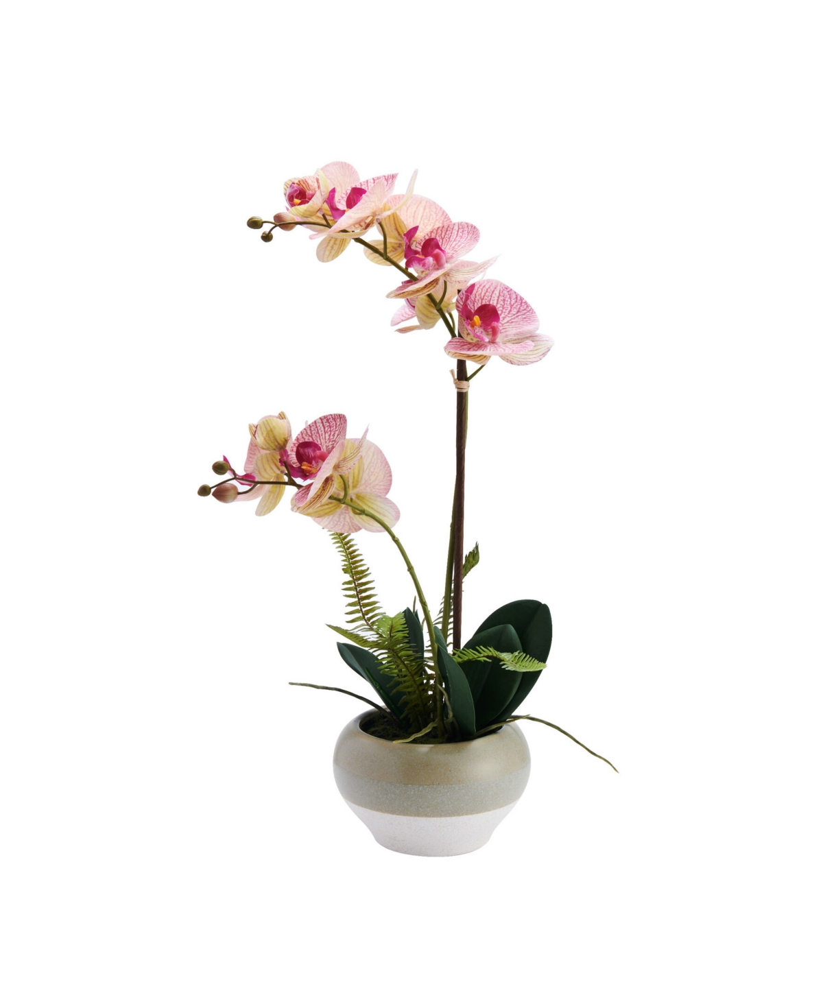 Mikasa Plastic Pink Orchid in Ceramic Pot, 20