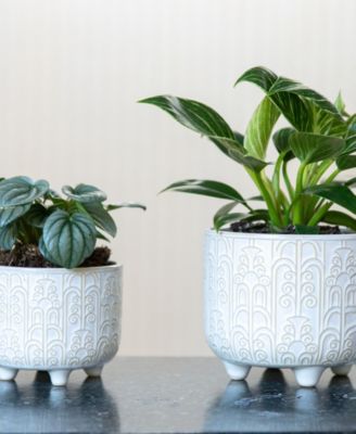 Vintage-like Footed Ceramic Planter, Set of 2