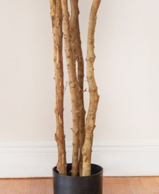 6' Fiddle Leaf Fig Tree