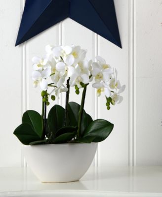 Phalaenopsis Flower Arrangement