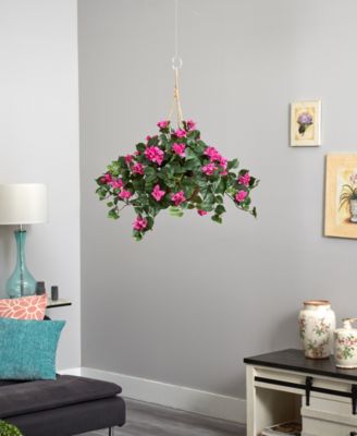 Bougainvillea Hanging Basket 
