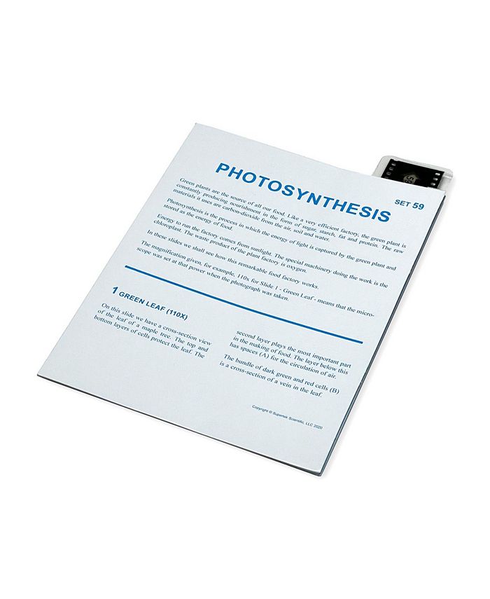 Supertek Microslide, Photosynthesis Macy's