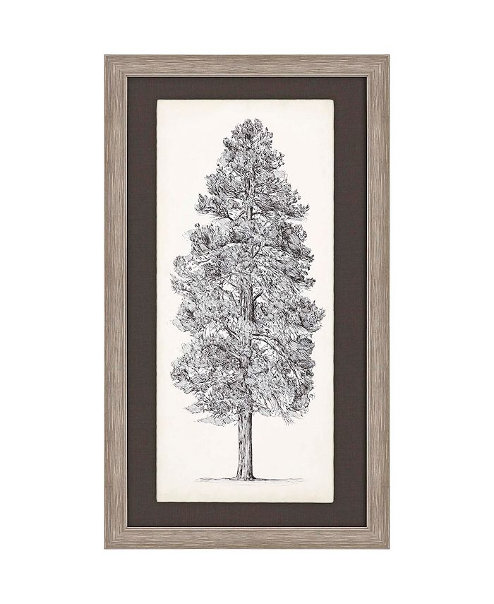 Paragon Picture Gallery Tree Sketch II Wall Art Macy's