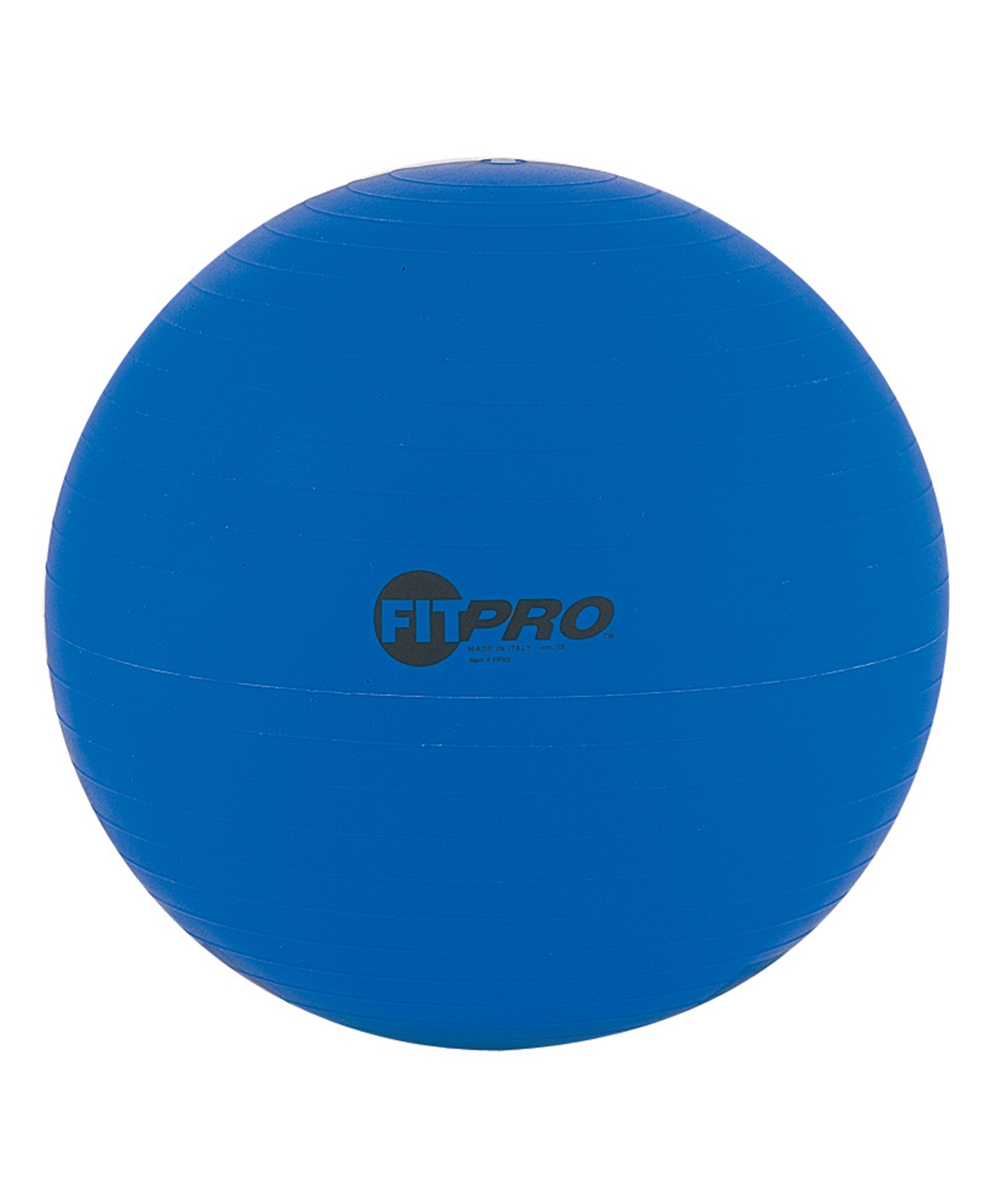 Champion Sports Fitpro Training Exercise Ball, 53 Cm In Dark Blue