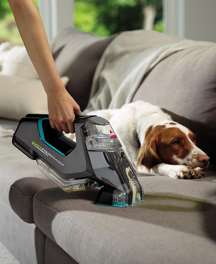 Bissell Pet Stain Eraser Powerbrush Macy