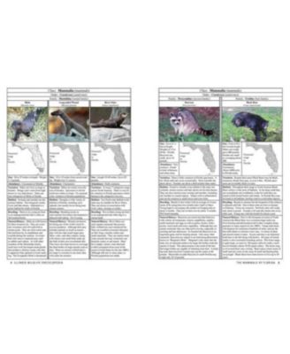 Florida Wildlife Encyclopedia - An Illustrated Guide to Birds, Fish, Mammals, Reptiles, and Amphibians by Scott Shupe