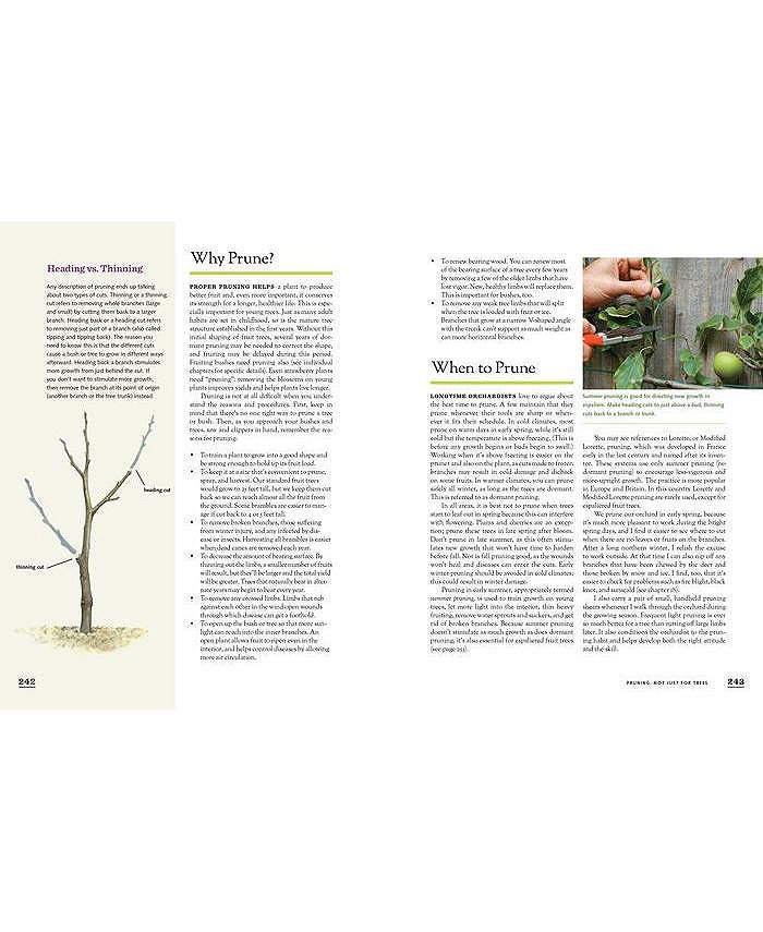 Barnes & Noble The Fruit Gardener's Bible A Complete Guide to Growing