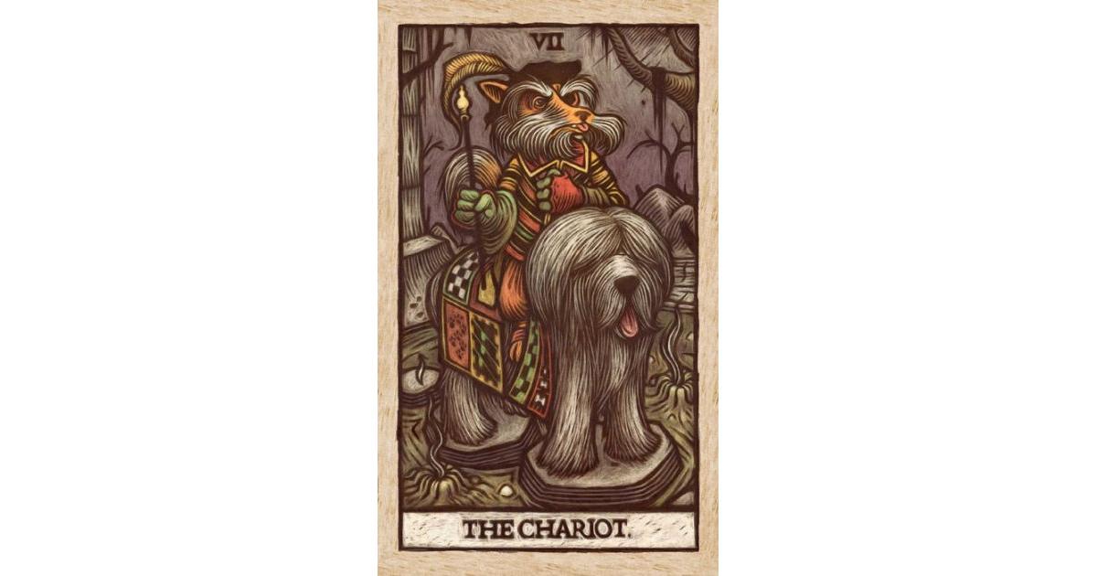 Labyrinth Tarot Deck and Guidebook Movie Tarot Deck by Minerva Siegel