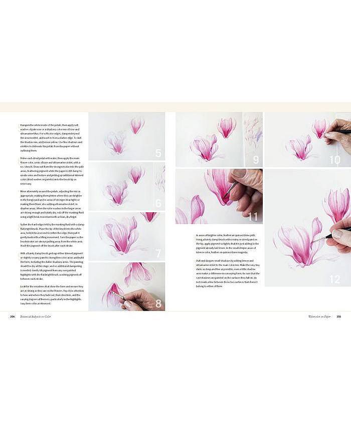Barnes & Noble Botanical Art Techniques A Comprehensive Guide to